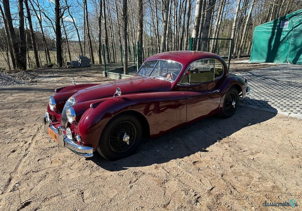 1955' Jaguar XK photo #2