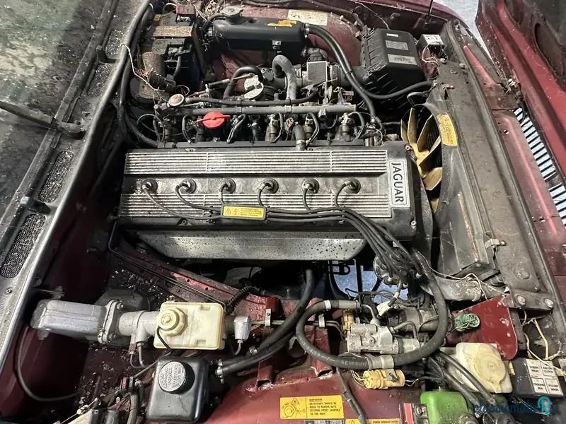 1988' Jaguar XJ photo #4