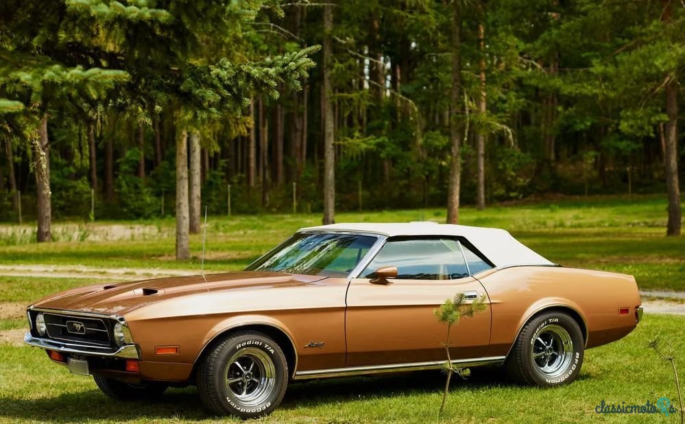 1971' Ford Mustang photo #5
