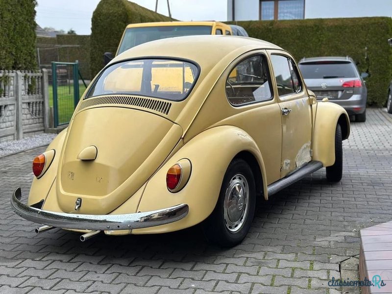 1966' Volkswagen Garbus photo #2