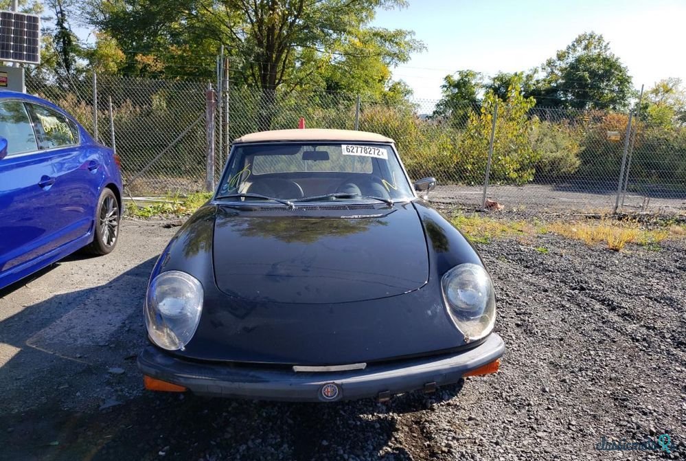 1979' Alfa Romeo Spider photo #4