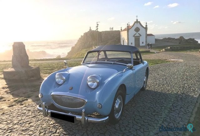1959' Austin-Healey Sprite photo #4