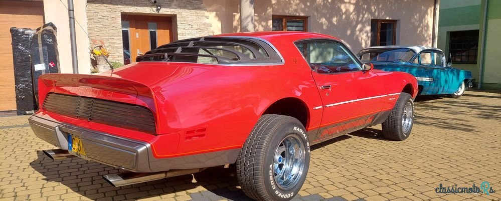 1979' Pontiac Firebird photo #6