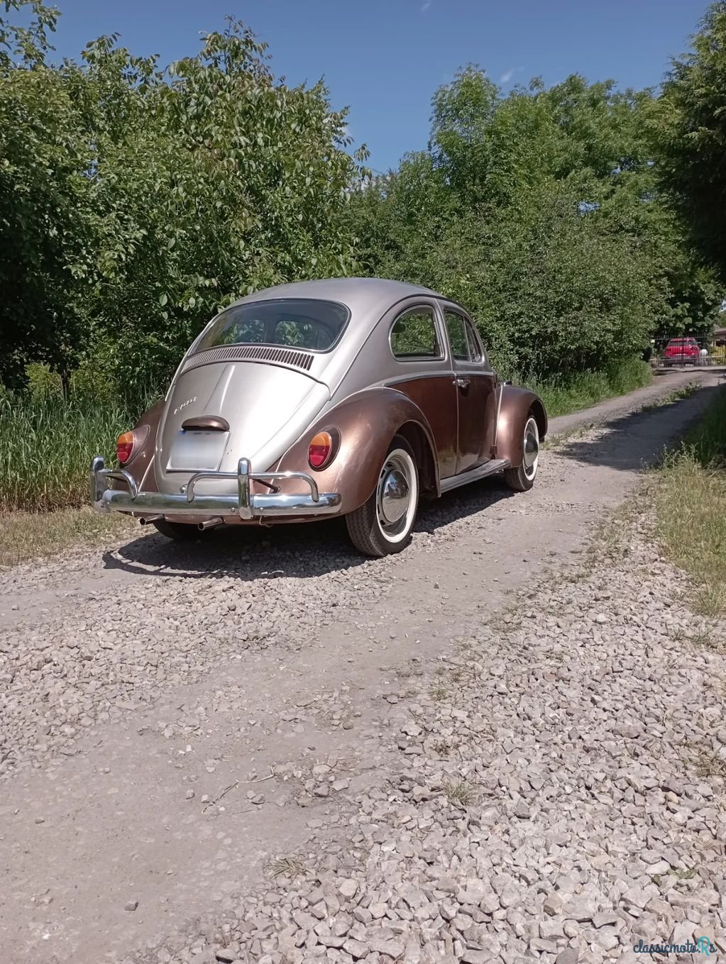 1969' Volkswagen Garbus photo #2