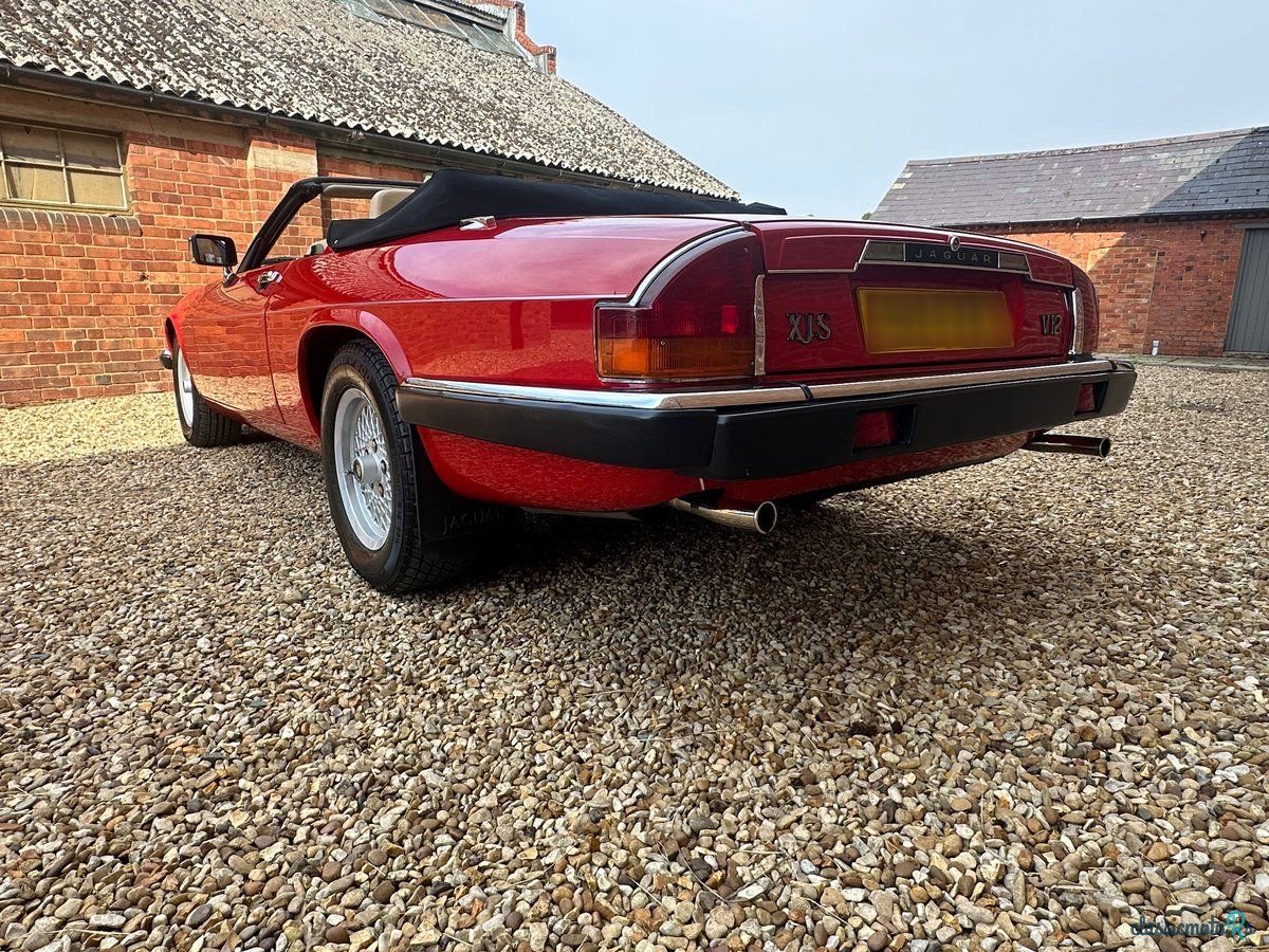 1989' Jaguar XJS photo #5