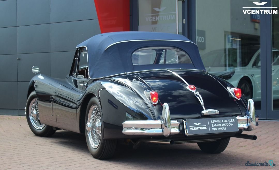 1956' Jaguar XK photo #4