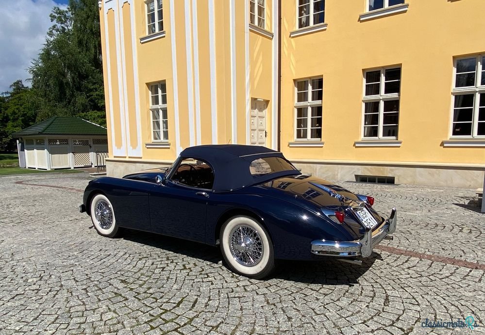 1958' Jaguar XK photo #4