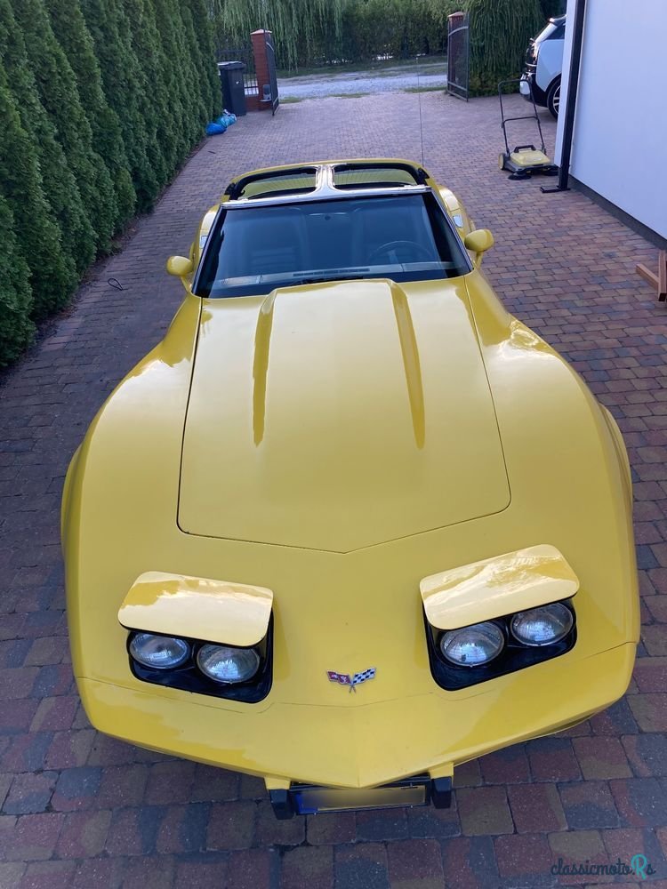1979' Chevrolet Corvette photo #3