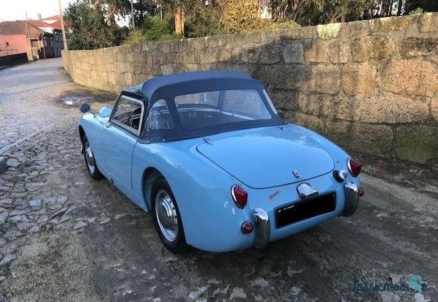 1959' Austin-Healey Sprite Frogeye photo #3