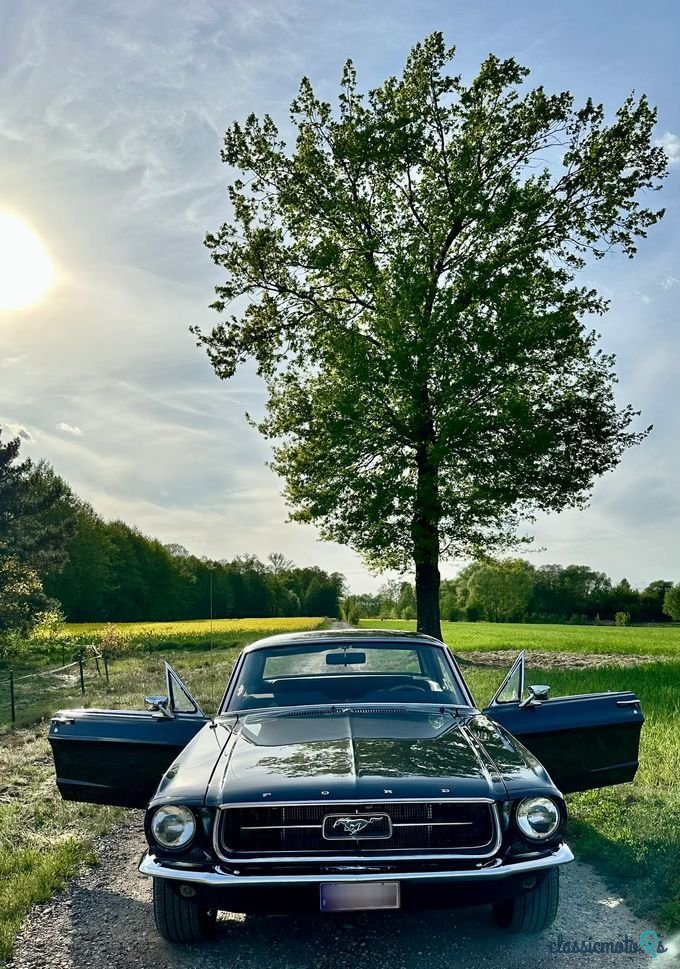 1967' Ford Mustang photo #3