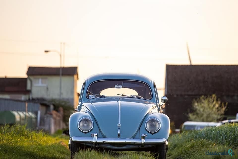 1956' Volkswagen Garbus photo #1