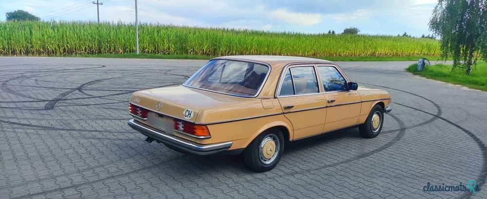 1977' Mercedes-Benz W123 photo #2