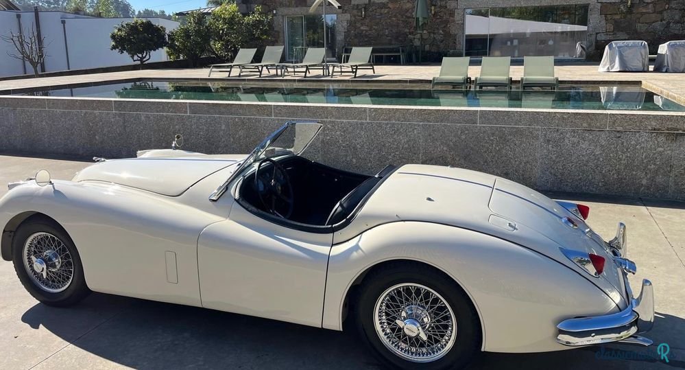 1955' Jaguar XK photo #2