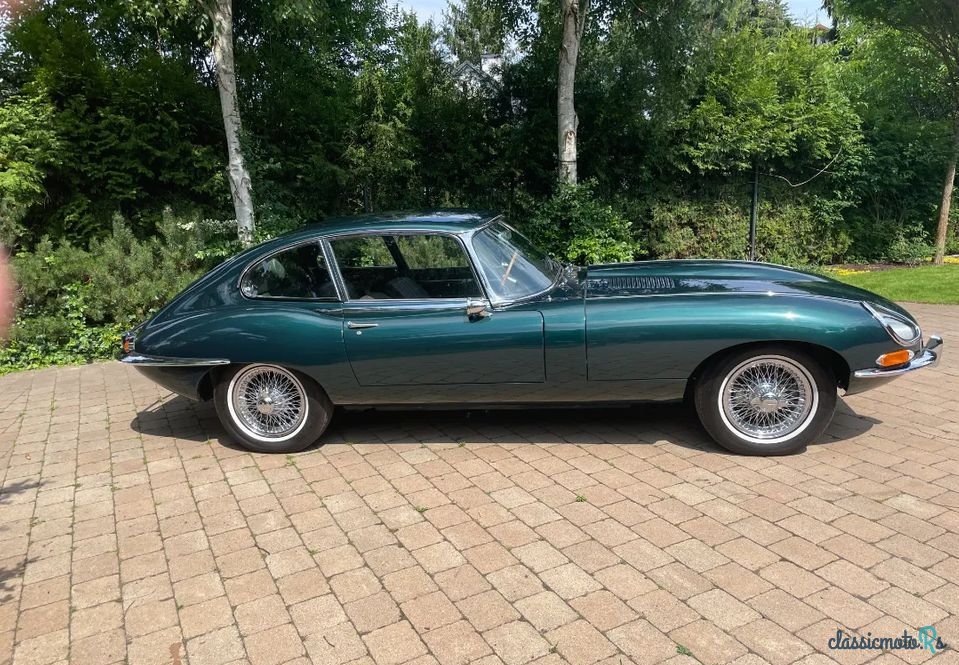 1966' Jaguar E-Type photo #2