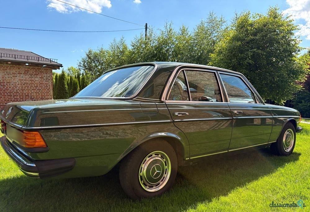 1977' Mercedes-Benz W123 photo #3