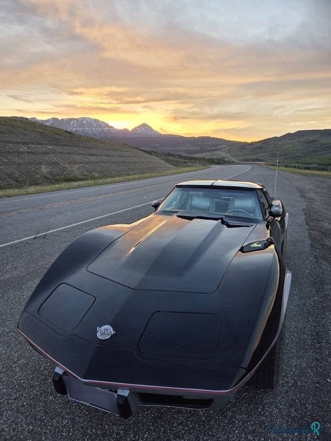 1978' Chevrolet Corvette photo #2