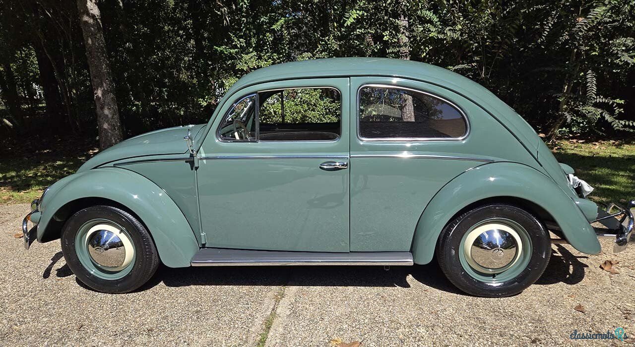 1956' Volkswagen Beetle photo #4