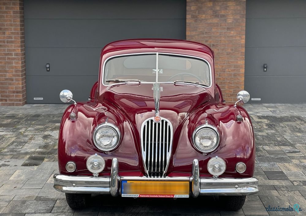 1955' Jaguar XK photo #2