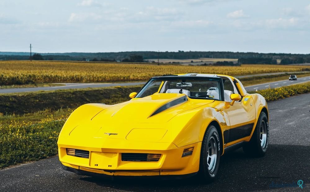 1980' Chevrolet Corvette photo #3