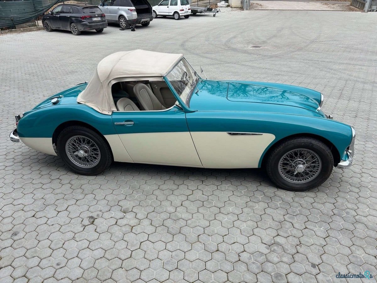 1959' Austin-Healey 3000 photo #4