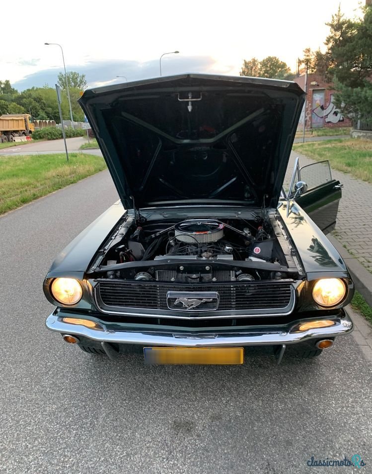 1966' Ford Mustang photo #5