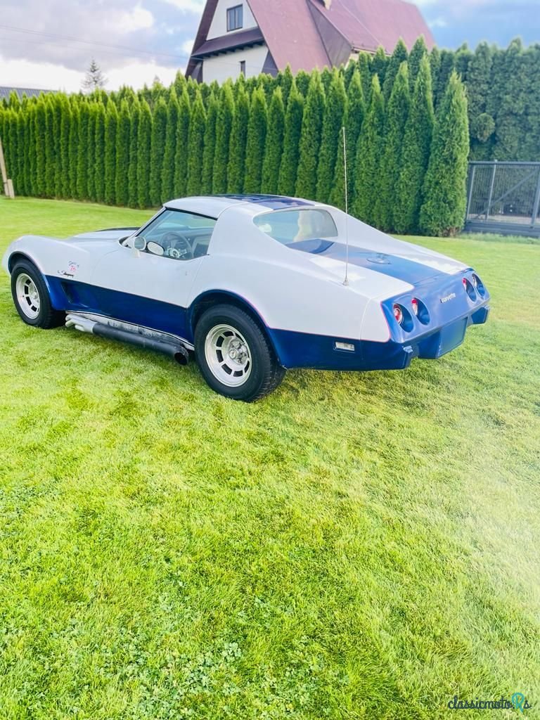 1976' Chevrolet Corvette photo #3