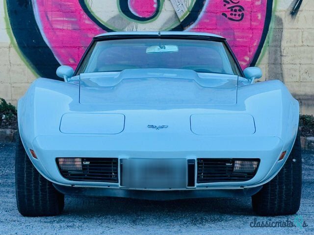 1979' Chevrolet Corvette photo #2
