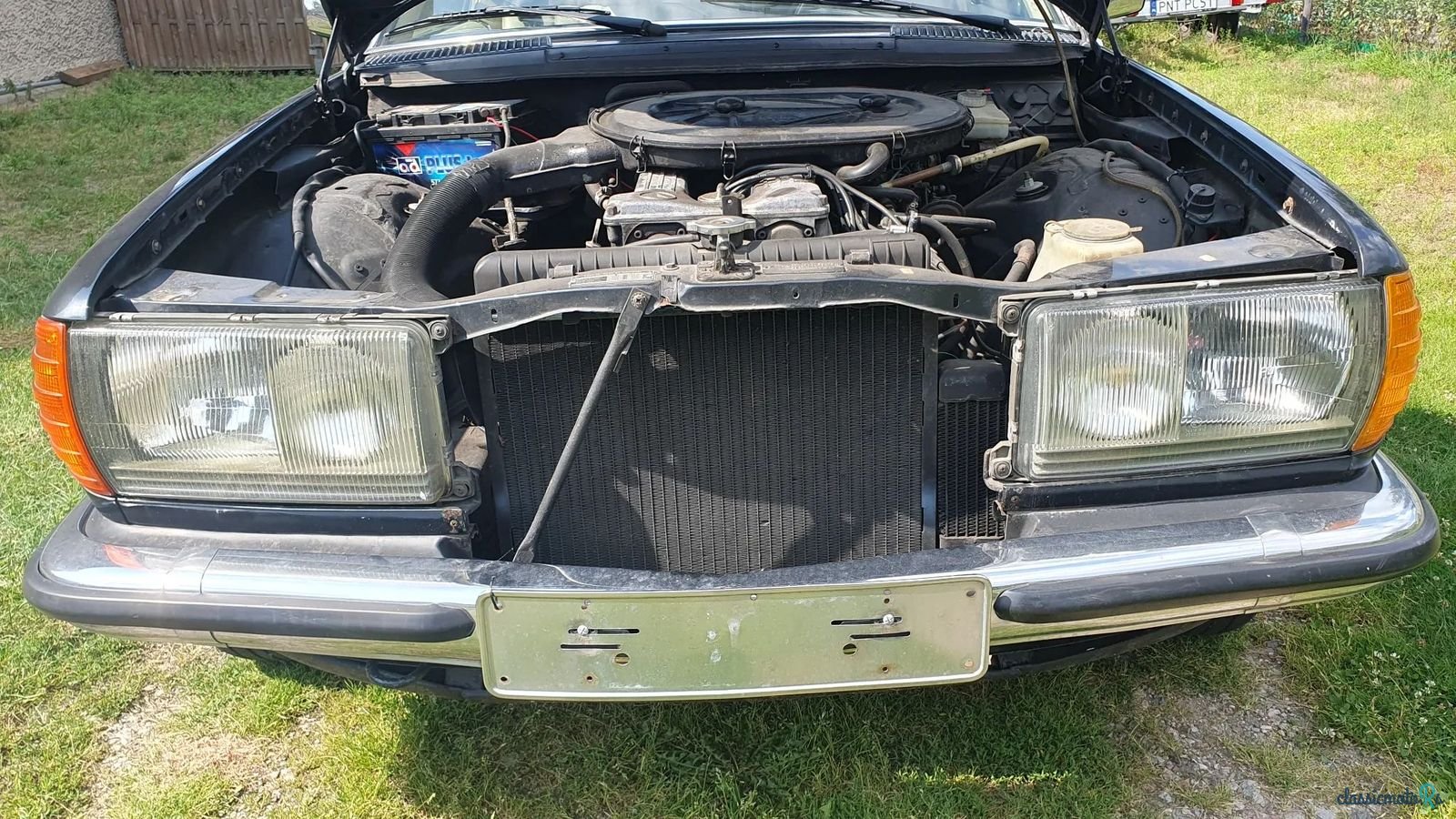 1978' Mercedes-Benz 280 photo #3