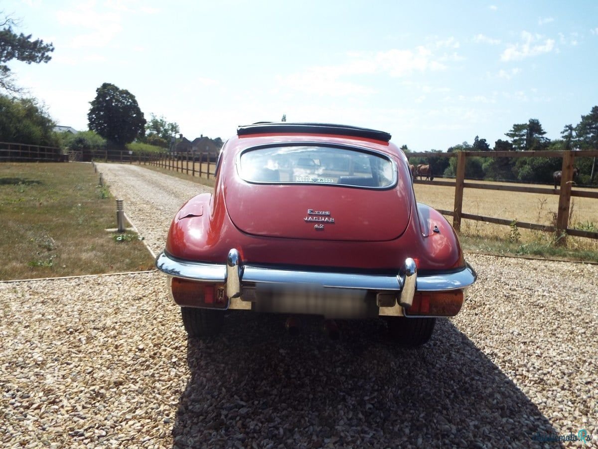1969' Jaguar E-Type photo #6