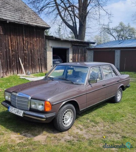 1978' Mercedes-Benz W123 photo #2