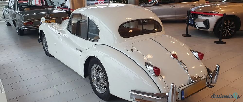 1955' Jaguar XK photo #2