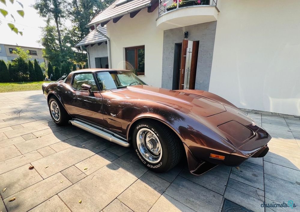 1979' Chevrolet Corvette photo #1