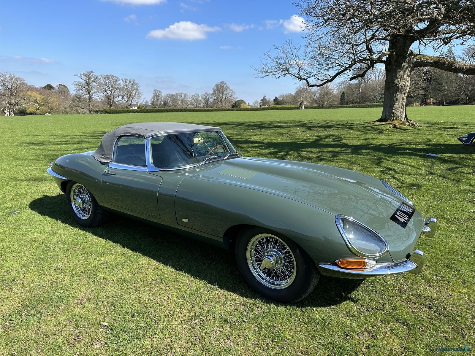 1961' Jaguar E-Type photo #5