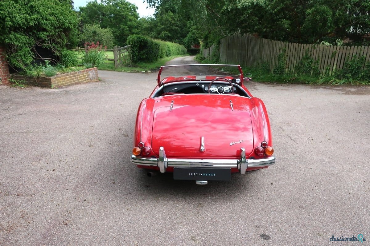 1953' Austin-Healey 100/4 photo #4