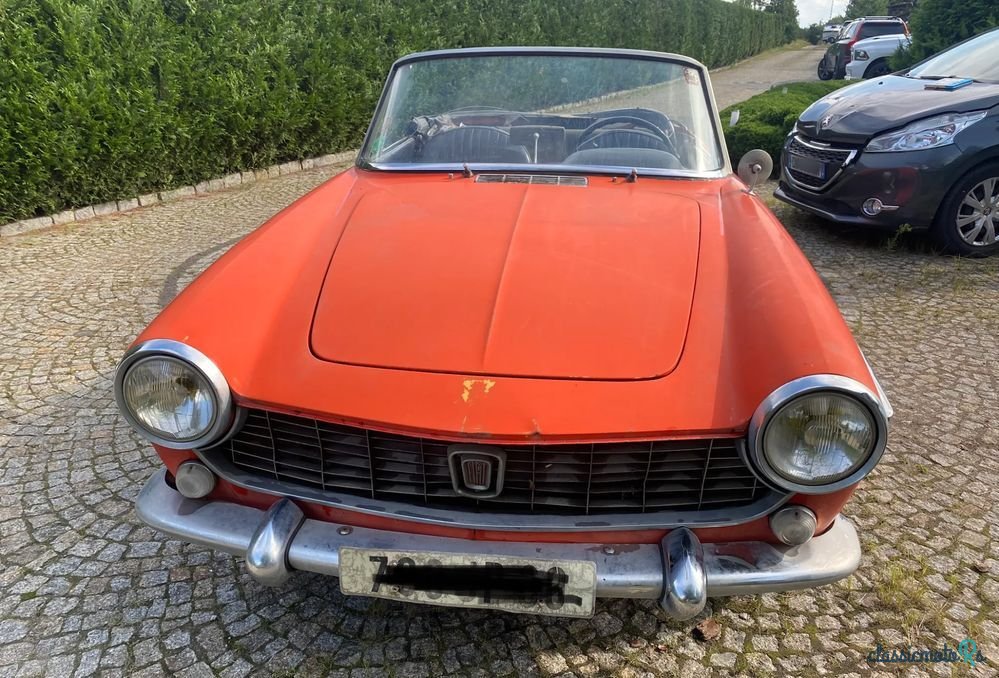 1965' Fiat photo #2