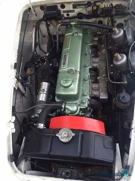 1959' Austin-Healey 100/4 photo #6