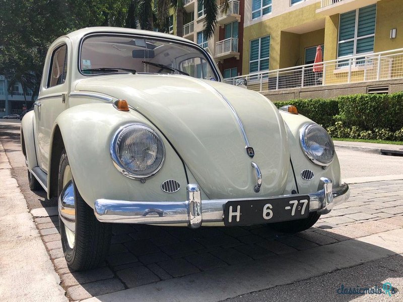 1961' Volkswagen Beetle photo #3