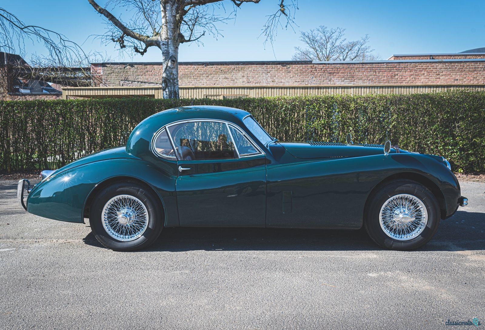 1954' Jaguar Xk120 Fhc photo #6