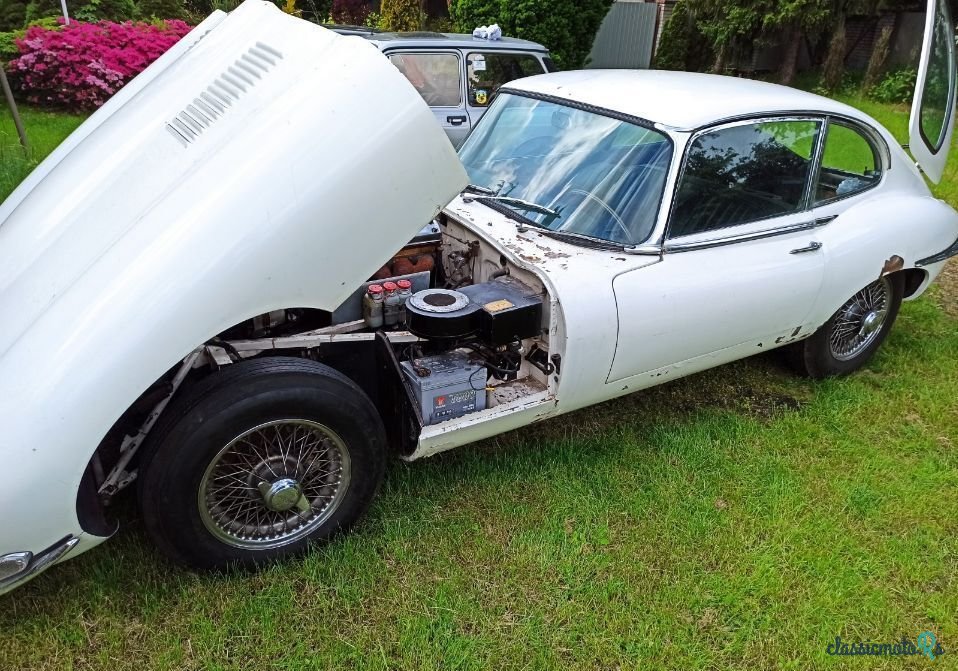 1967' Jaguar E-Type photo #1