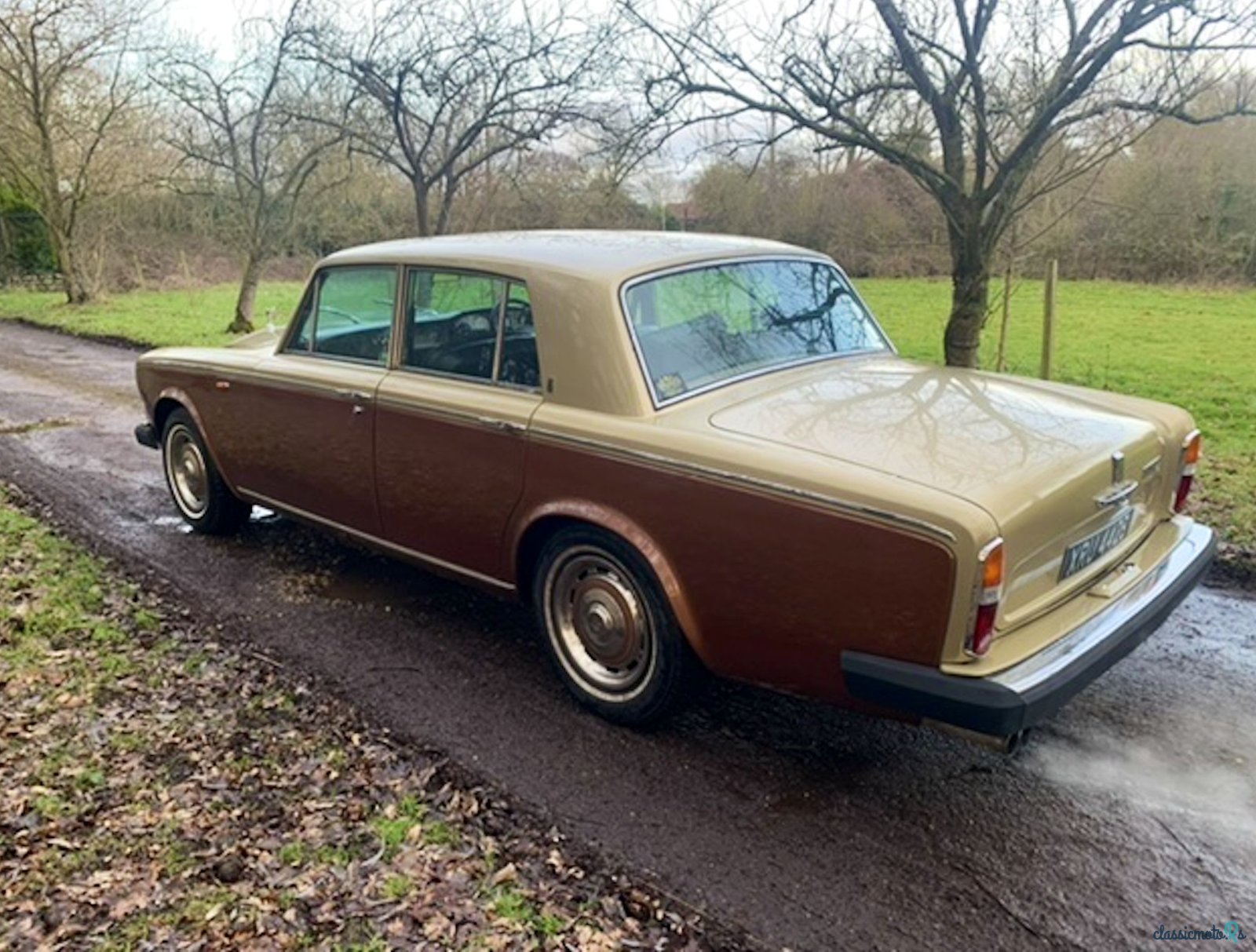1977' Rolls-Royce Silver Shadow photo #5
