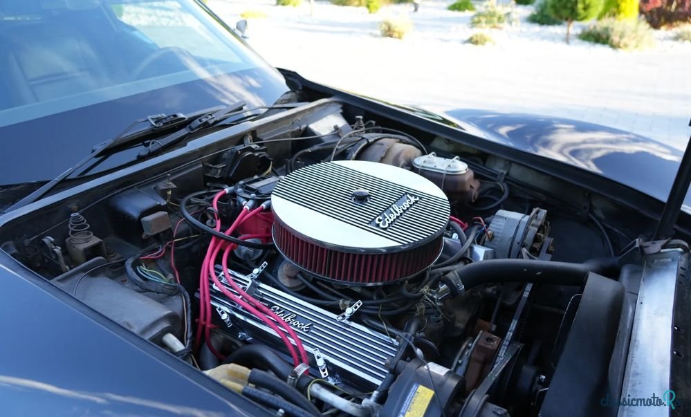 1977' Chevrolet Corvette photo #6