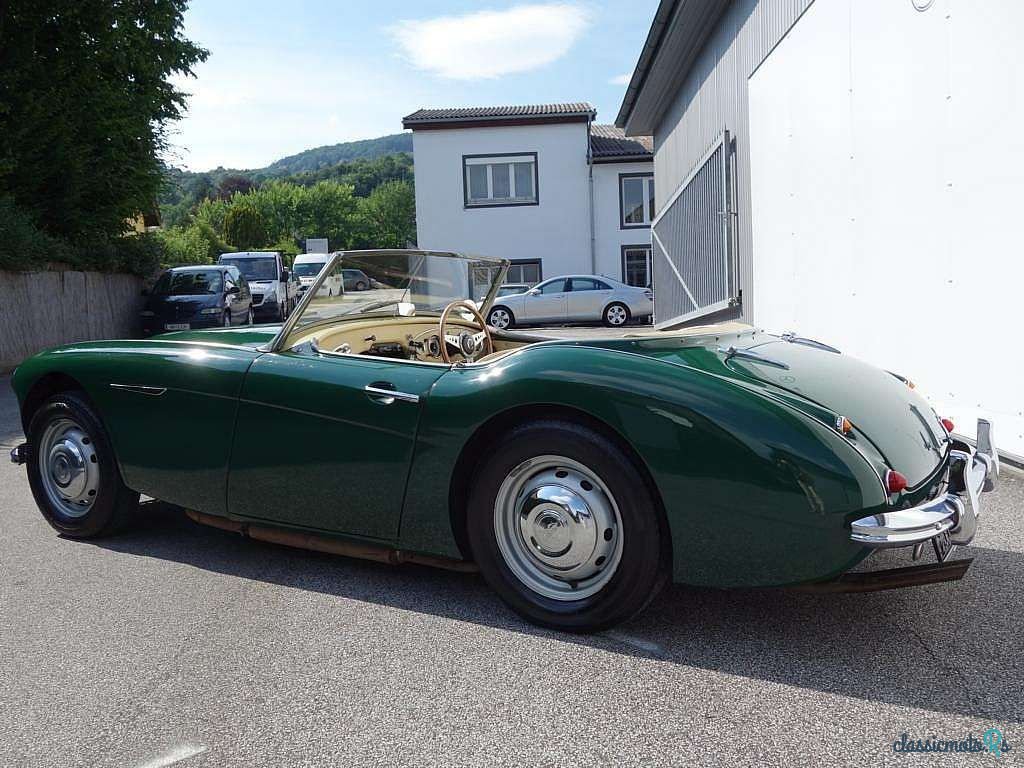 1957' Austin-Healey photo #3