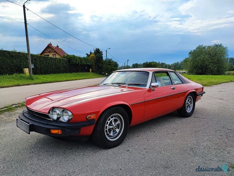 1976' Jaguar XJS photo #2