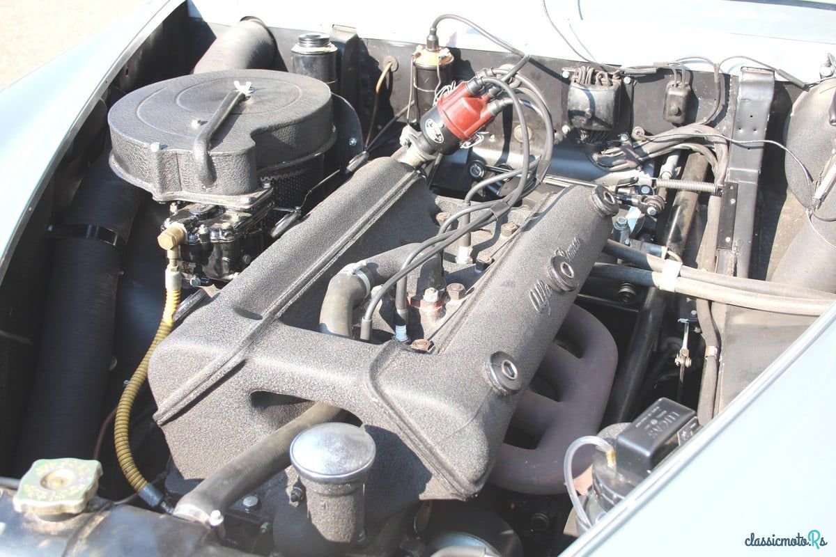 1952' Alfa Romeo 1900 photo #4