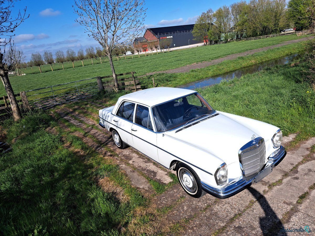 1968' Mercedes-Benz 280 photo #4