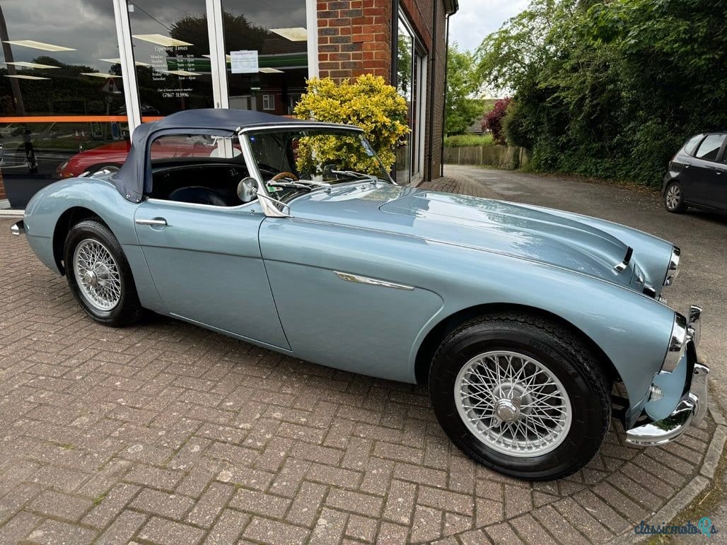 1959' Austin-Healey 100-6 photo #1