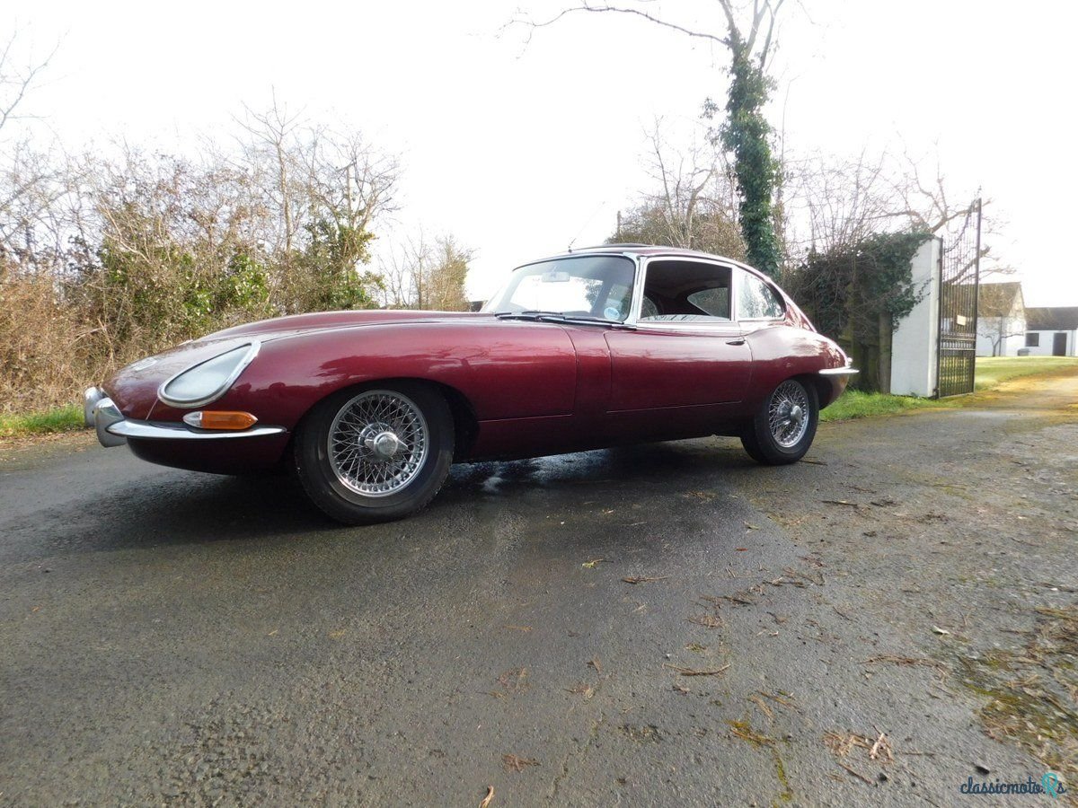1966' Jaguar E-Type photo #3