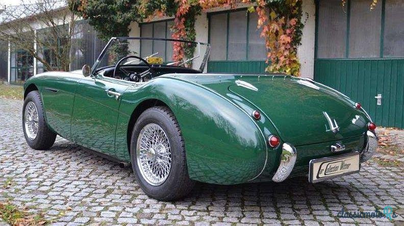 1956' Austin-Healey BN 100/6 photo #1