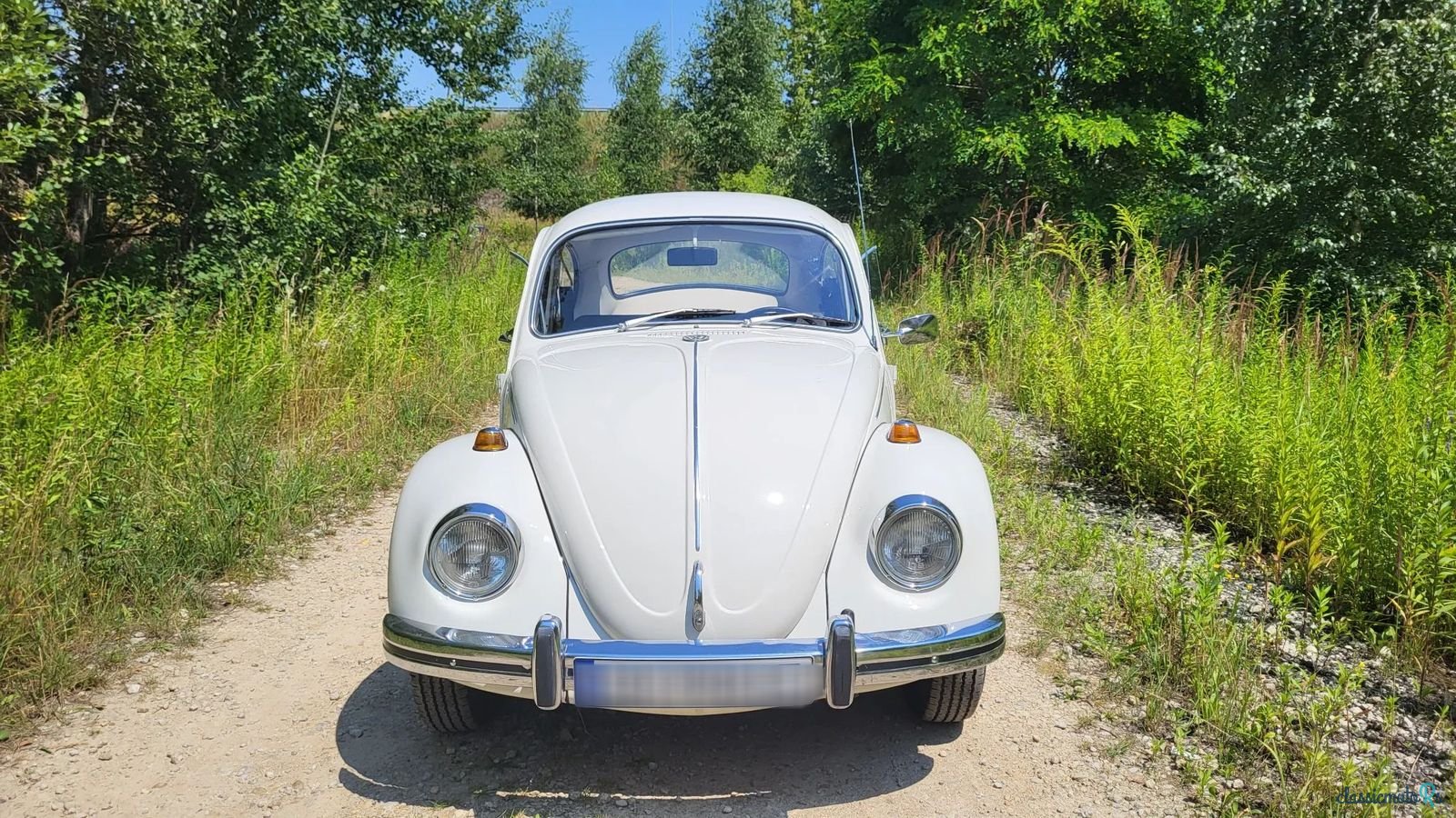 1967' Volkswagen Beetle photo #2