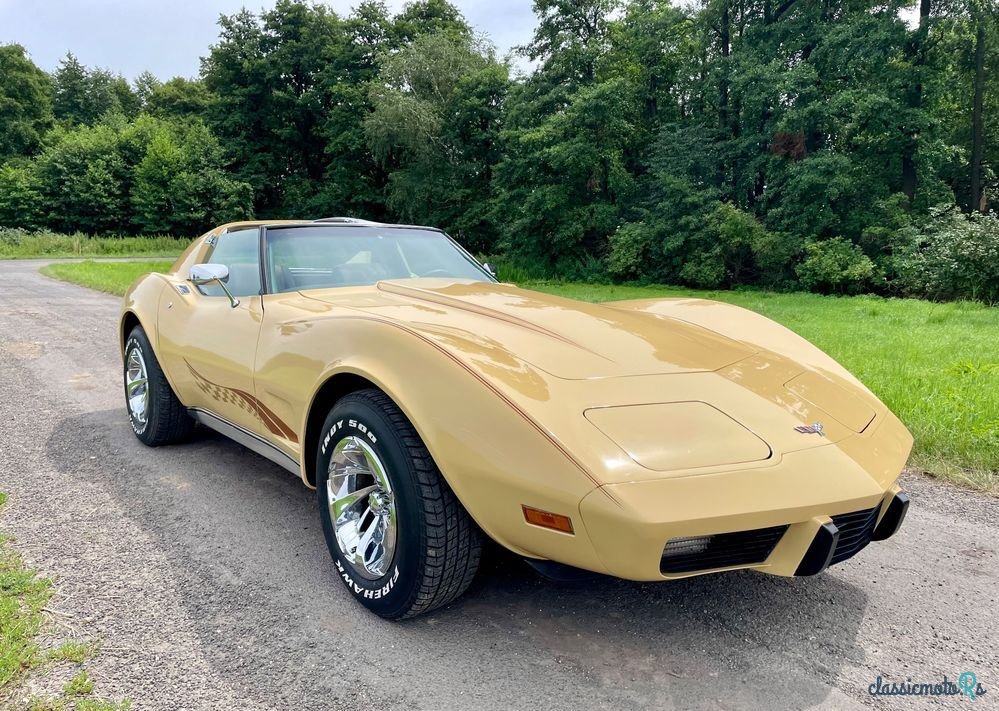 1977' Chevrolet Corvette photo #6